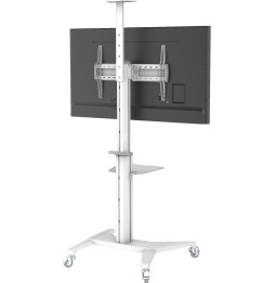 Stojak mobilny telewizora 37-70" do 70kg regulowany 2 półki biały