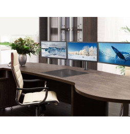 Techly 301757 Obrotowe ramię biurkowe na 3 monitory 13-24"